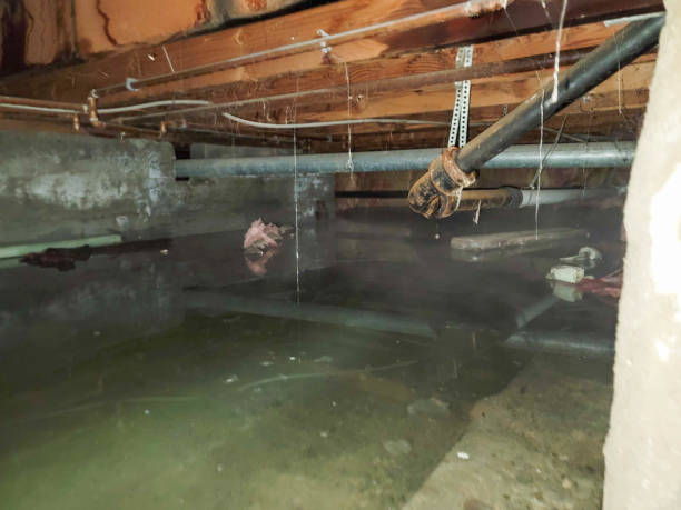 Best Flood restoration services  in Malvern, AR