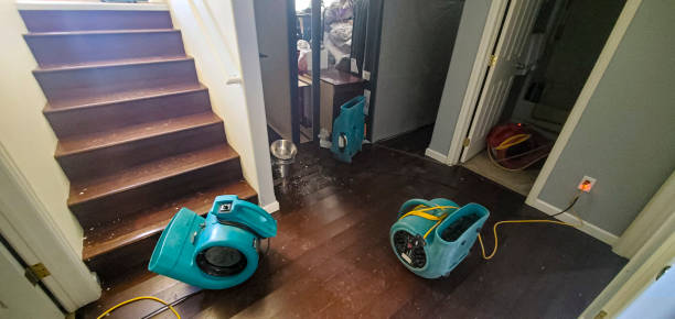 Best Water damage restoration near me  in Malvern, AR