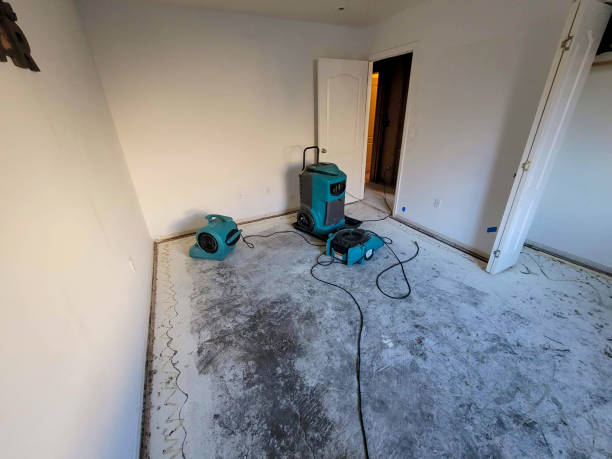 Best Water damage restoration near me  in Malvern, AR