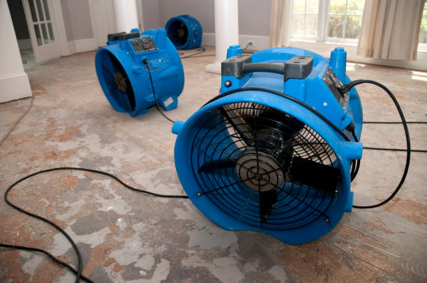 Best Ceiling water damage repair  in Malvern, AR