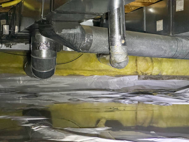 Best Basement water damage restoration  in Malvern, AR