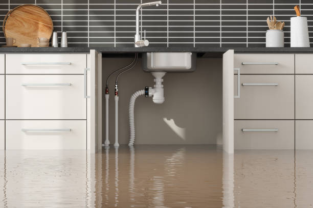 Best Water damage repair service  in Malvern, AR