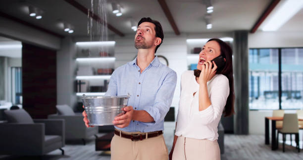 Best Sewage cleanup and water damage restoration  in Malvern, AR
