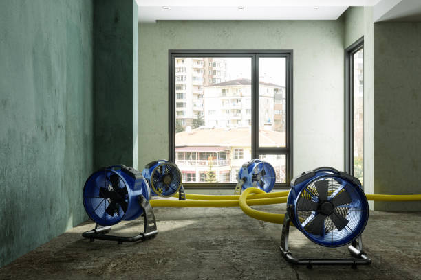 Best Carpet water damage restoration  in Malvern, AR